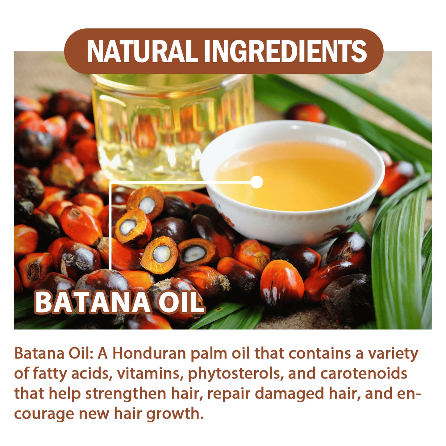 Batana Repair Conditioner- Strenghten & Hydrate Hair
